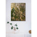 Landschapsfotoprint - Groene Slangen