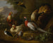 van een schilderij met pauwen, fazanten, kippen, patrijzen en een tadorne in een landschap - Tobias Stranover — weergave van het kunstwerk