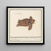 Schildpad Tortue de mer Cheloniidae tortue de terre testudo Palustris - Anselmus Botius de Boodt — ingelijst kunstwerk aan de muur