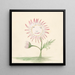 Sunflower Painting - Charles Demuth — framed artwork on a wall