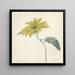 van Tournesol - D van Alphen — ingelijst kunstwerk aan de muur