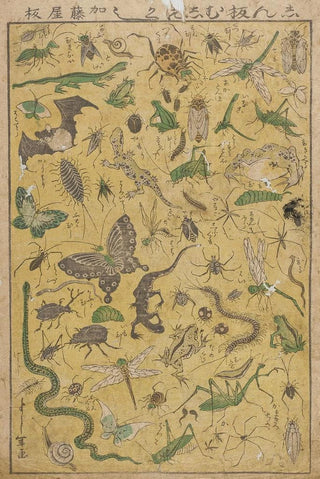Tsukioka Yoshitoshi - New Publication of Selected Insects.webp