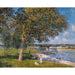 Reproduction of the painting of a Walnut Tree in the Prairie of Thomery - Alfred Sisley