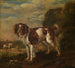 Een spaniel - Paulus Potter — weergave van het kunstwerk