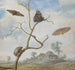 van een kever op een tak, twee vlinders, een nachtvlinder en een kleine kever erboven en een landschap op de achtergrond - Margareta de Heer — weergave van het kunstwerk