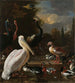van een pelikaan en andere vogels bij een vijver bekend als De Drijvende Veer - Melchior d'Hondecoeter — weergave van het kunstwerk