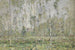 Landschap met bomen rond 1910 - Vasili Ivanovich Denisov — weergave van het kunstwerk