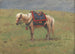 Himalaya-Ponys - Vasily Vereshchagin — weergave van het kunstwerk