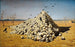 L'Apothéose van de oorlog - Vasily Vereshchagin — weergave van het kunstwerk