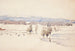 Landschapschilderij van het einde van de winter - Venny Soldan-Brofeldt — weergave van het kunstwerk