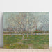 Reproduction of the painting Flowering Orchard Painting (Plum Trees) - Vincent van Gogh