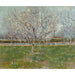 Reproduction of the painting Flowering Orchard Painting (Plum Trees) - Vincent van Gogh