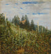 Vineyard at Pillnitz at the beginning of summer - Carl Gustav Carus — artwork view
