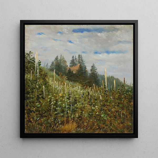 Vignoble d'été à Pillnitz - Carl Gustav Carus