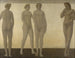 Artémis - Vilhelm Hammershøi — weergave van het kunstwerk
