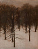 Parc Søndermarken en hiver - Vilhelm Hammershøi — weergave van het kunstwerk
