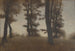 van Troncs d'arbres Arresdal près de Frederiksværk, Nord de la Zélande - Vilhelm Hammershøi — weergave van het kunstwerk