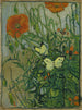Vlinders en klaprozen - Vincent van Gogh — weergave van het kunstwerk
