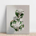 Gezicht van planten | Collage