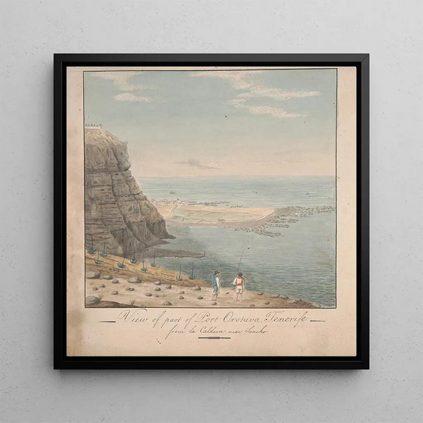 Vue d'une partie du port d'Orotava Tenerife depuis La Caldeva près de Sancho - Alfred Diston