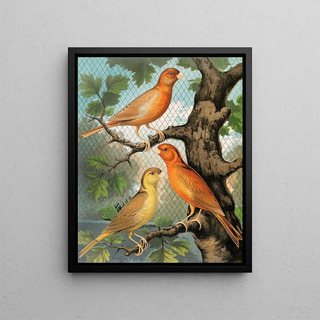 W A Blakston - Cinnamon Canaries Norwich Type.webp