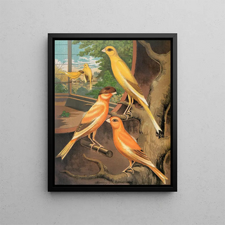 W A Blakston - Cinnamon Canaries.webp