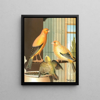 W A Blakston - London Fancy Canaries.webp