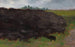 Landschap - Władysław Ostrowski — weergave van het kunstwerk