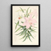 Lilium Japonicum - Walter Hood Fitch — ingelijst kunstwerk aan de muur