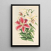 Lilium auratum var Parkmanm - Walter Hood Fitch — ingelijst kunstwerk aan de muur