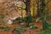 Herfstboslandschap - Walter Moras — weergave van het kunstwerk