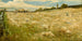 Champs de blé Vermont - Walter Shirlaw — weergave van het kunstwerk