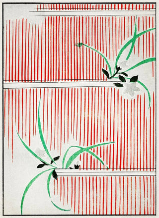 Watanabe Seitei - Morning glory illustration.webp