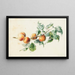 Abricots sur une branche signé - Willem Hekking — ingelijst kunstwerk aan de muur
