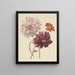 Dahlias - Willem Hekking — ingelijst kunstwerk aan de muur