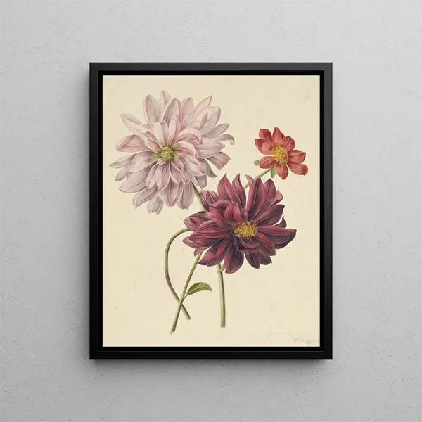 Willem Hekking - Dahlias.webp
