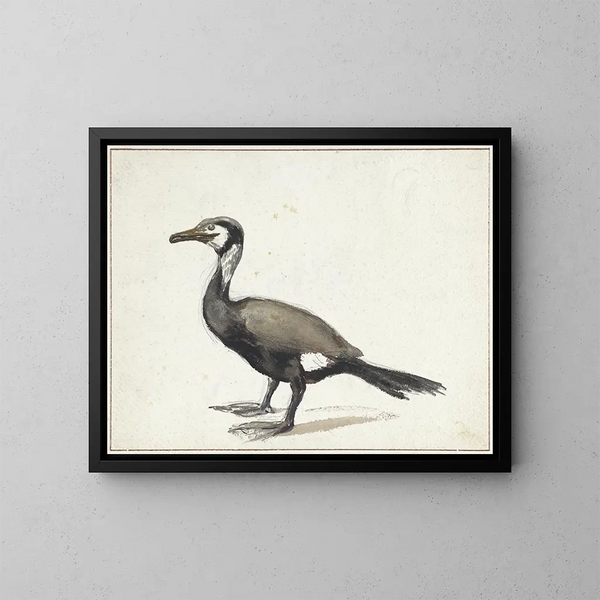 Cormoran - Willem Roelofs — framed artwork on a wall