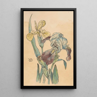 Willem Wenckebach - Iris.webp