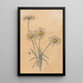 White Daisies Painting - Willem Wenckebach — framed artwork on a wall