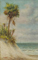 Maritiem landschapsschilderij van Florida met zandduin en palmboom - William Aiken Walker — weergave van het kunstwerk