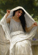 The Veil - William Bouguereau — artwork view