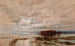 L Inundatie in de Darling, 1890 - William Charles Piguenit — weergave van het kunstwerk