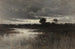 In de moerassen - William Crothers Fitler — weergave van het kunstwerk