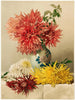 Chrysanten - William Duffield — weergave van het kunstwerk