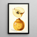 Cydonia oblonga Bourgeat - William Henry Prestele — framed artwork on a wall