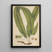 Aspidium Wallichii - William Jackson Hooker — framed artwork on a wall