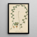 Asplenium flabelliforme - William Jackson Hooker — framed artwork on a wall