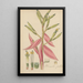Bromelia pallida - William Jackson Hooker — framed artwork on a wall