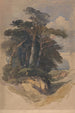 Pins op Hampstead Heath - William James Müller — weergave van het kunstwerk