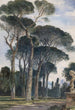 Pins parasols dans la Villa Borghèse Rome - William James Müller — artwork view